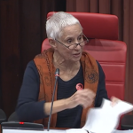 Sonia Corrêa em debate no Parlamento catalão: “¿Cómo abordamos la ola reaccionaria contra los derechos sexuales y reproductivos?”
